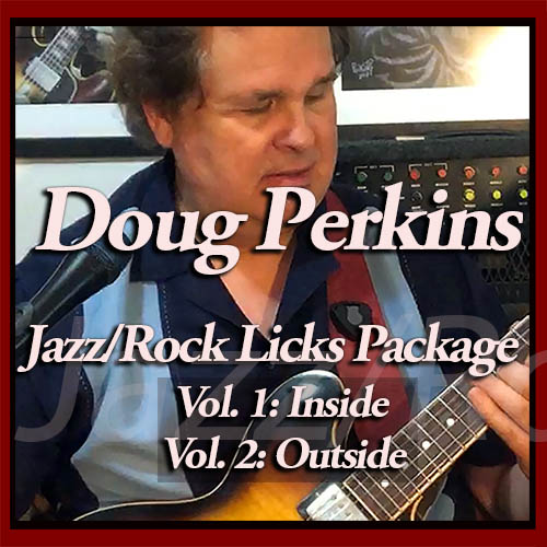 Doug Perkins _ Jazz Rock Licks 